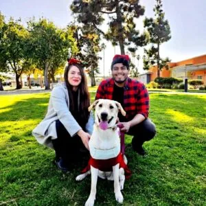 Picture of Miguel Gracia, Founder of Armbar Marketing